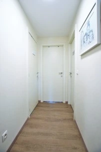 11.webp