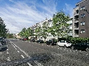 19(3).webp